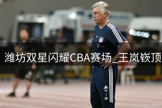 潍坊双星闪耀CBA赛场 王岚嵚顶薪加盟助山东逆转取胜