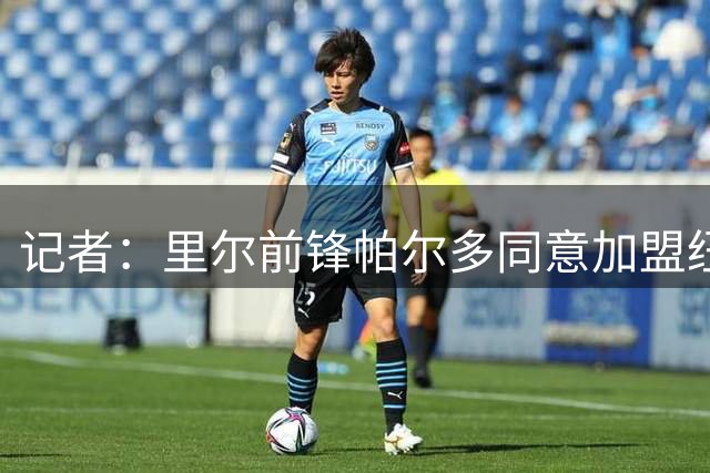 记者：里尔前锋帕尔多同意加盟纽卡，转会费总价6500万欧